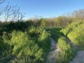 Продава ПАРЦЕЛ, гр. Козлодуй, област Враца, снимка 4