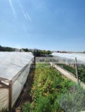 Продава КЪЩА, област Пловдив, с. Куртово Конаре • 105000 € • 39357220 — Holmes.bg