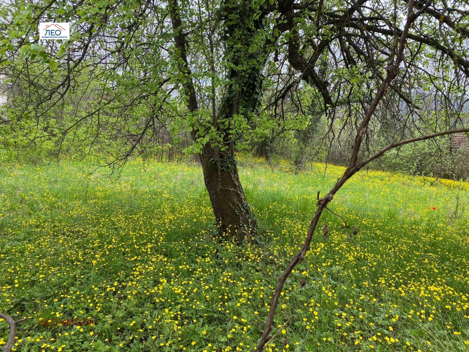 Продава КЪЩА | Imot.bg — изображение 2