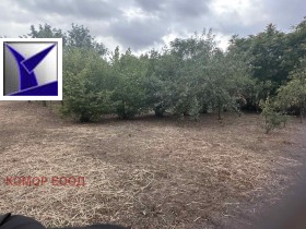 ������� ������ | Imot.bg � ����� ������ 2