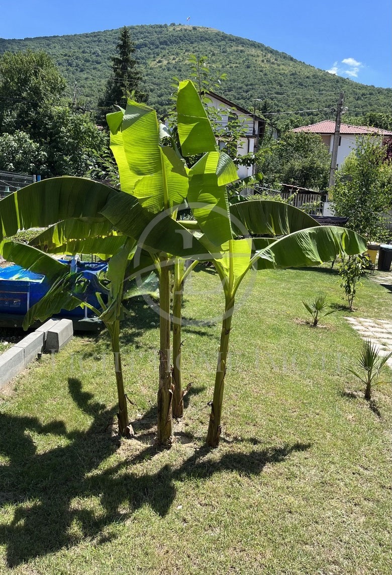 De vânzare  Casa regiunea Plovdiv , Marcovo , 334 mp | 42164767 - imagine [5]