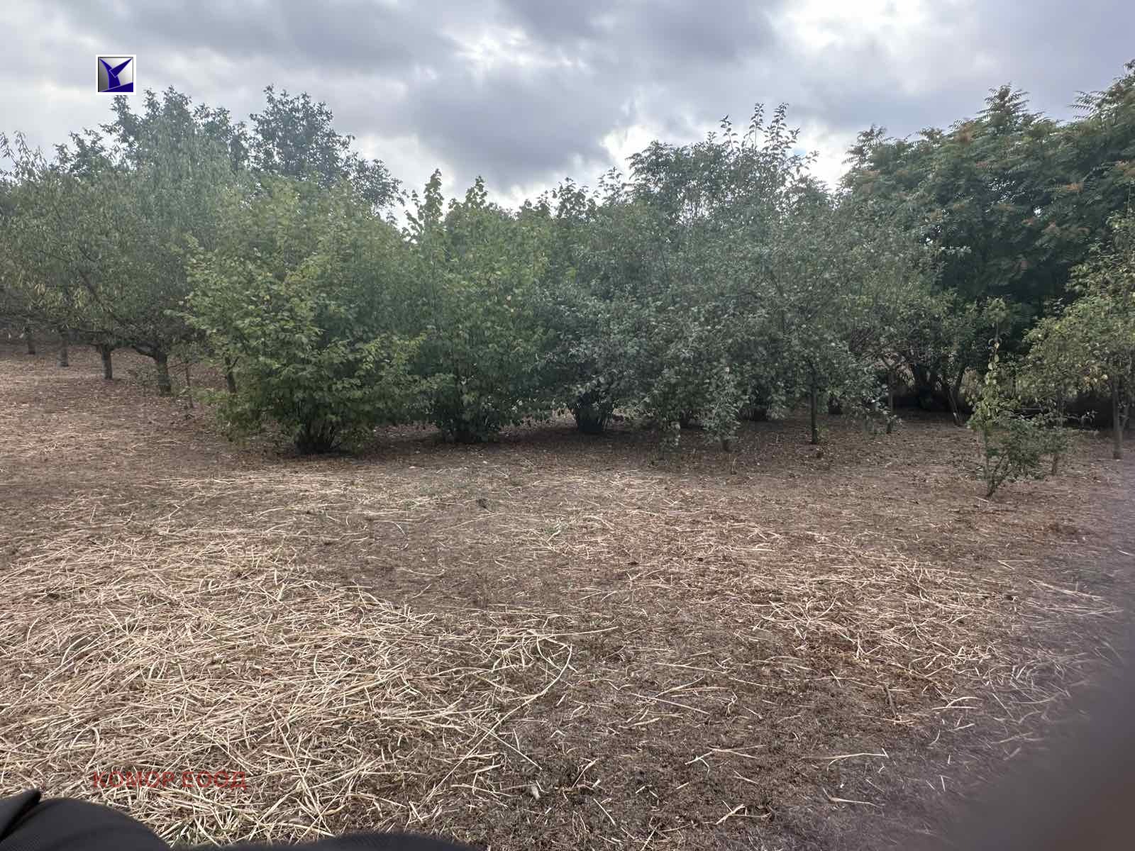Продава ПАРЦЕЛ, с. Просена, област Русе, снимка 2 - Парцели - 56567492