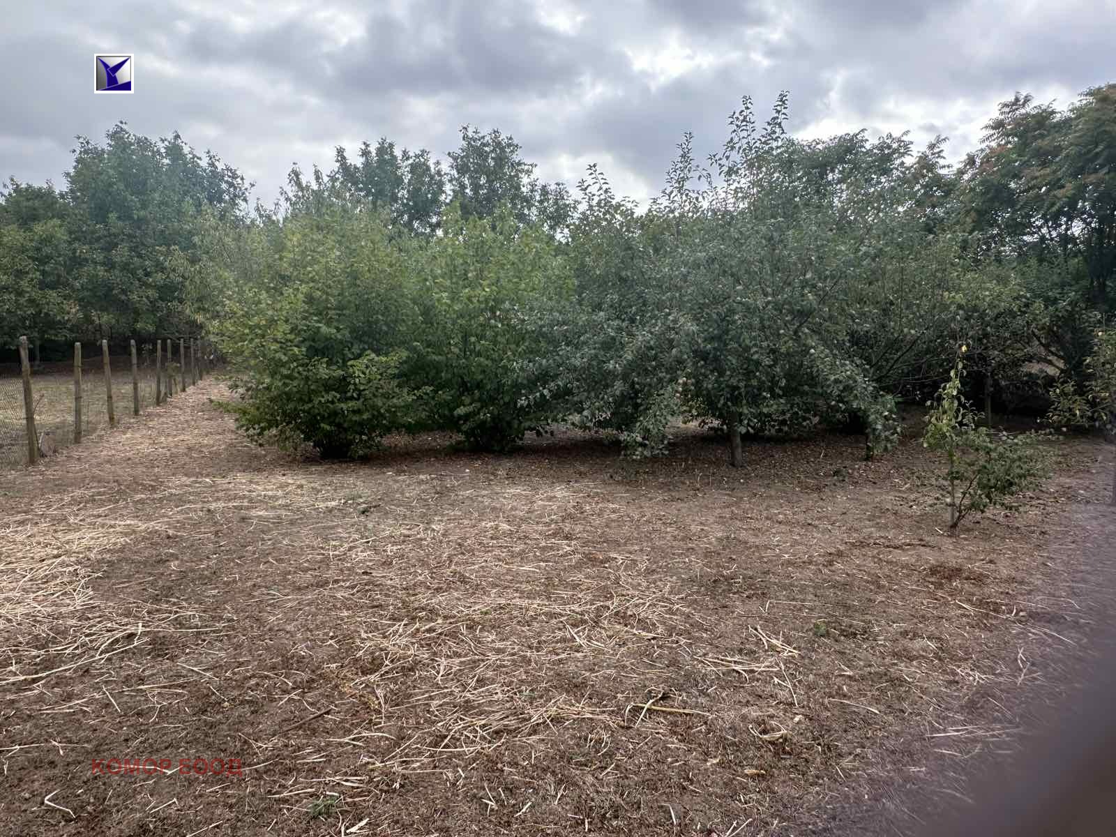 Продава ПАРЦЕЛ, с. Просена, област Русе, снимка 7 - Парцели - 56567492