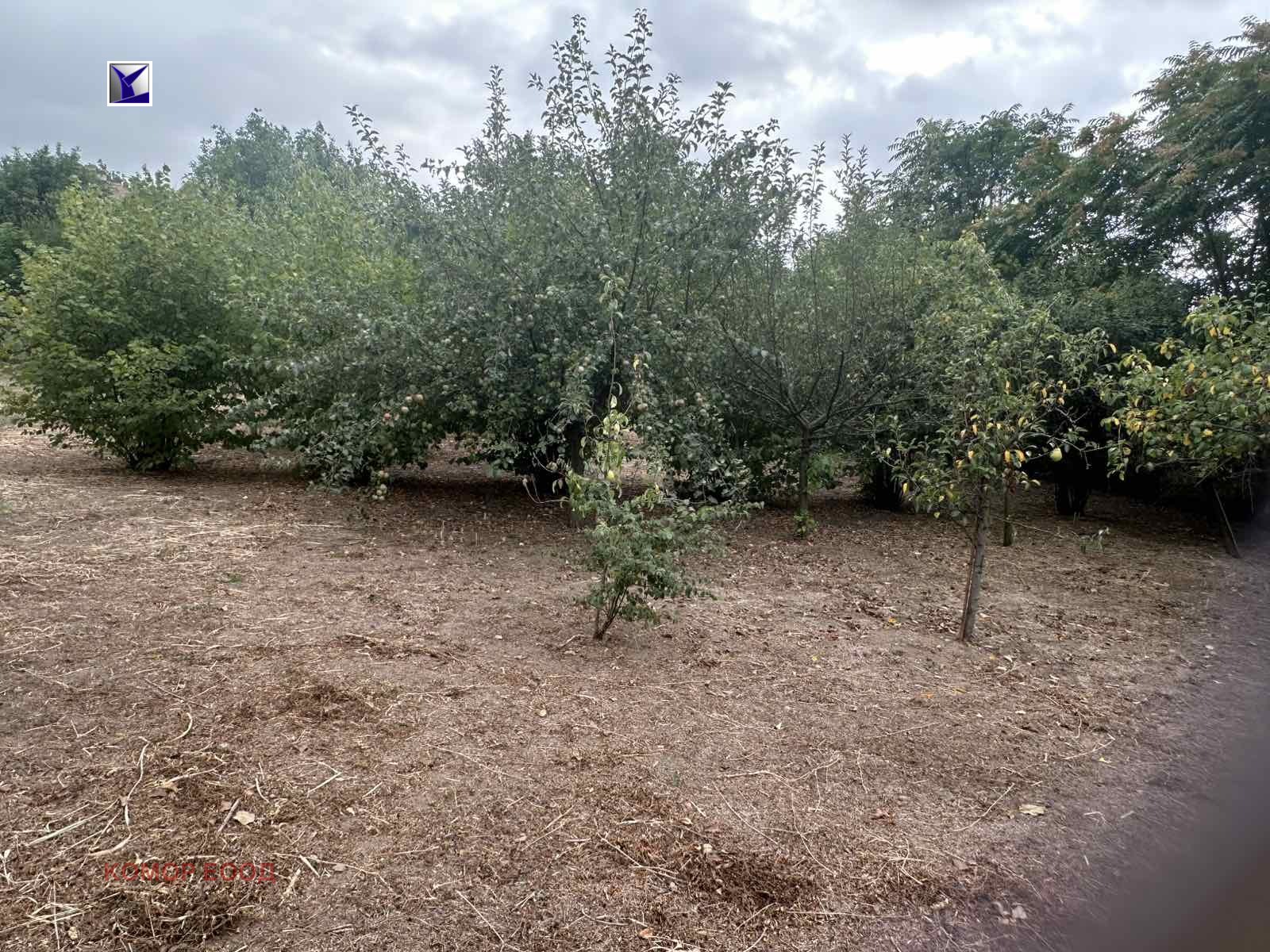 Продава ПАРЦЕЛ, с. Просена, област Русе, снимка 8 - Парцели - 56567492