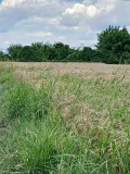 Продава ПАРЦЕЛ, с. Крумово, област Пловдив, снимка 3