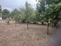 Продава ПАРЦЕЛ, с. Просена, област Русе, снимка 4