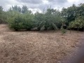 Продава ПАРЦЕЛ, с. Просена, област Русе, снимка 6