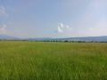 Продава ПАРЦЕЛ, област София, с. Белчин • 25000 € • 43381503 — Holmes.bg