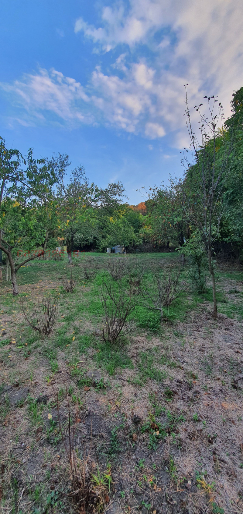 Продава КЪЩА, гр. Търговище, Бряг, снимка 14 - Къщи - 52785206