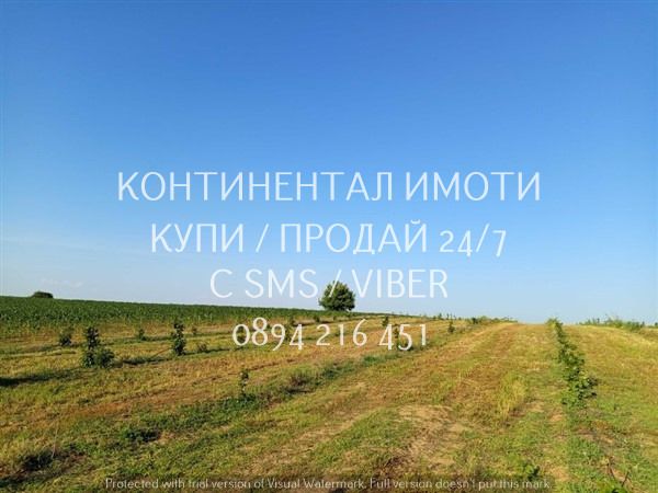 Продава ЗЕМЕДЕЛСКА ЗЕМЯ, с. Червен, област Пловдив, снимка 7 - Земеделска земя - 52558861
