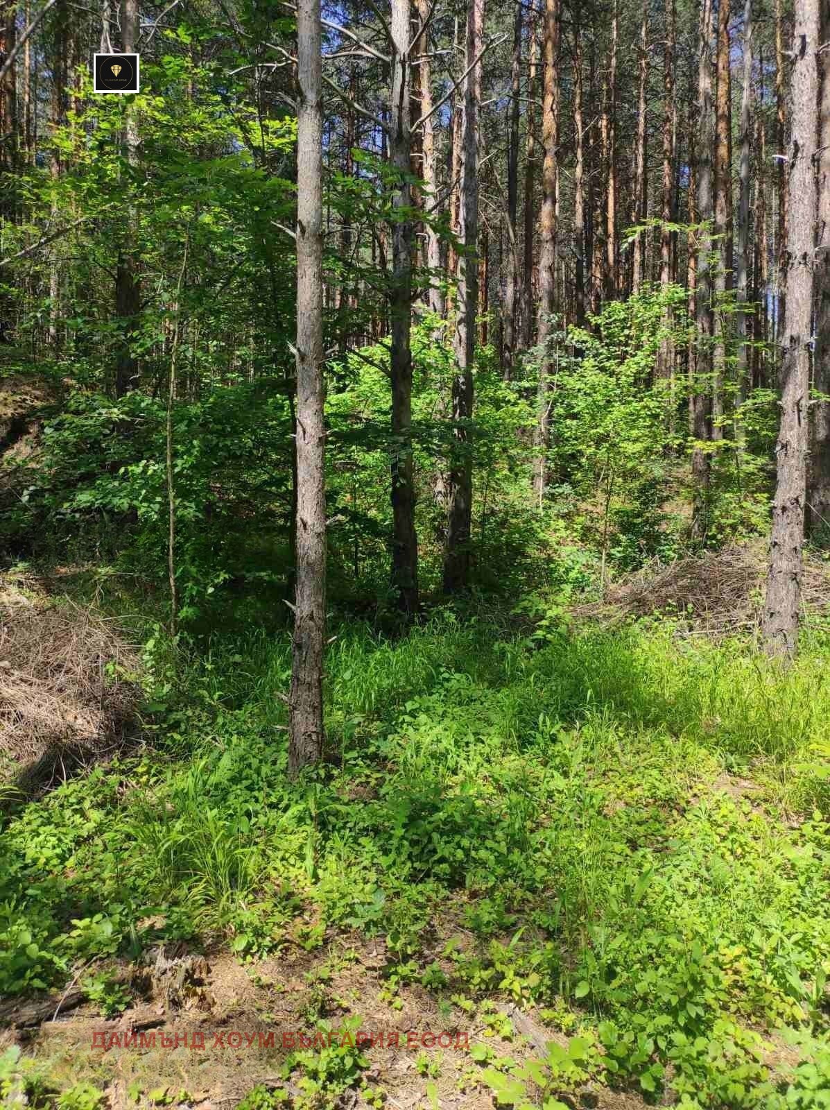 Продава ПАРЦЕЛ, с. Гълъбово, област Пловдив, снимка 5 - Парцели - 54867975
