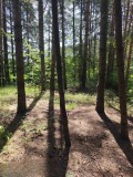 Продава ПАРЦЕЛ, с. Гълъбово, област Пловдив, снимка 4