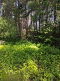 Продава ПАРЦЕЛ, с. Гълъбово, област Пловдив, снимка 2