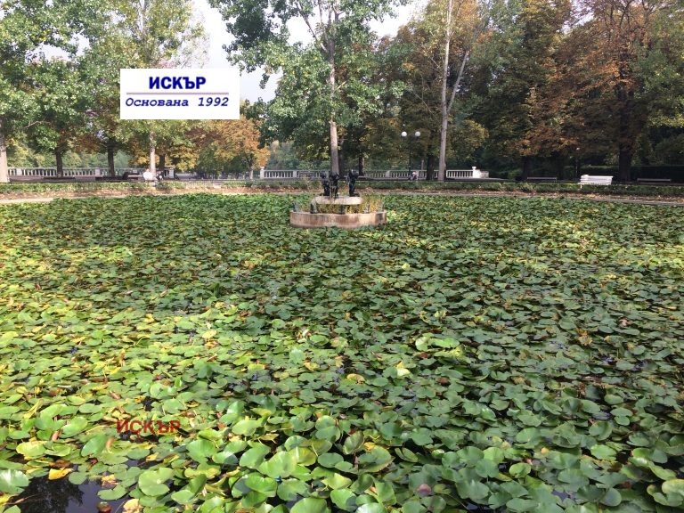 ������� 4-����� | Imot.bg � ����������� 7