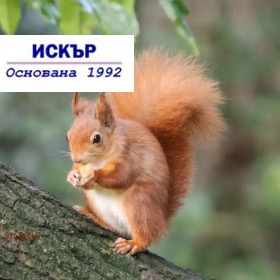 ������� 4-����� | Imot.bg � ����� ������ 10