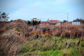 ������� ������ | Imot.bg � ����� ������ 2