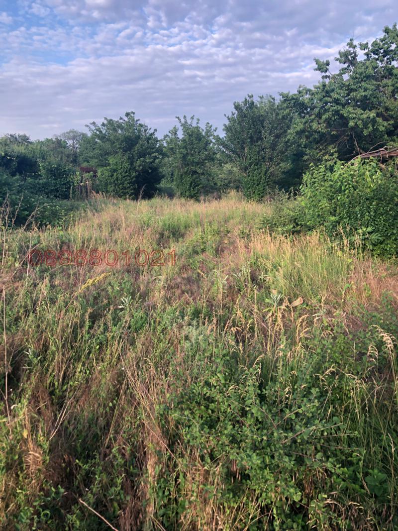 Продава ПАРЦЕЛ, с. Попица, област Враца, снимка 2 - Парцели - 52946600