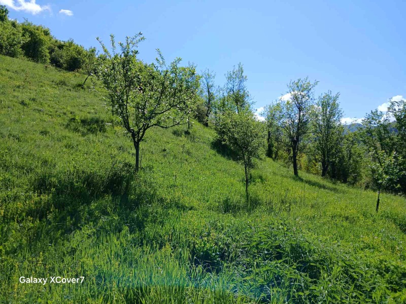 À venda  Trama região Lovech , Ribarica , 14440 m² | 80967155 - imagem [5]