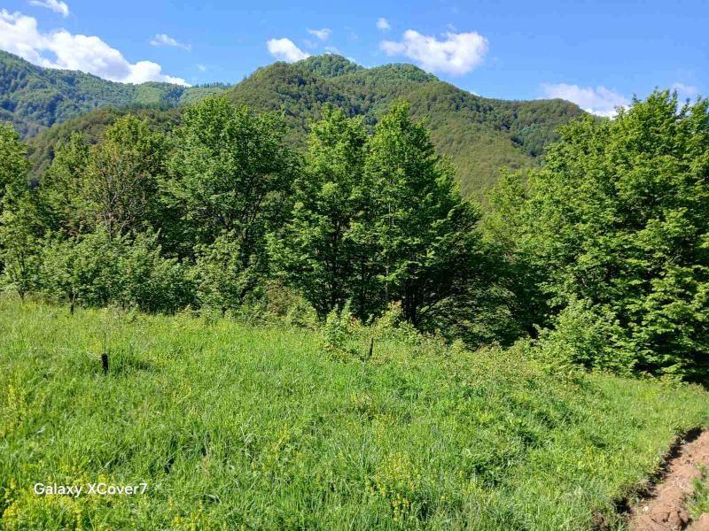 À venda  Trama região Lovech , Ribarica , 14440 m² | 80967155 - imagem [13]