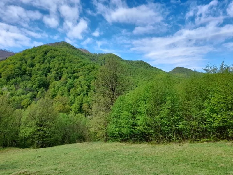 À venda  Trama região Lovech , Ribarica , 14440 m² | 80967155 - imagem [15]