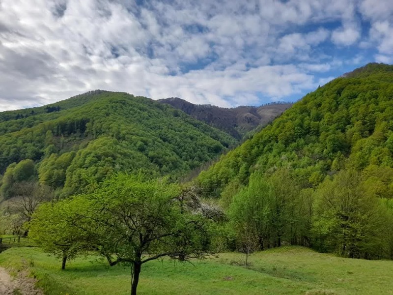 À venda  Trama região Lovech , Ribarica , 14440 m² | 80967155 - imagem [6]