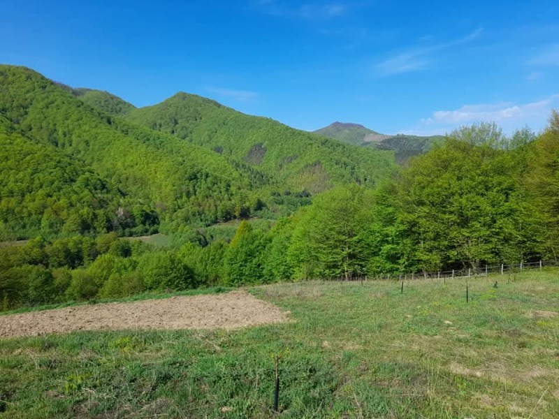 À venda  Trama região Lovech , Ribarica , 14440 m² | 80967155 - imagem [4]