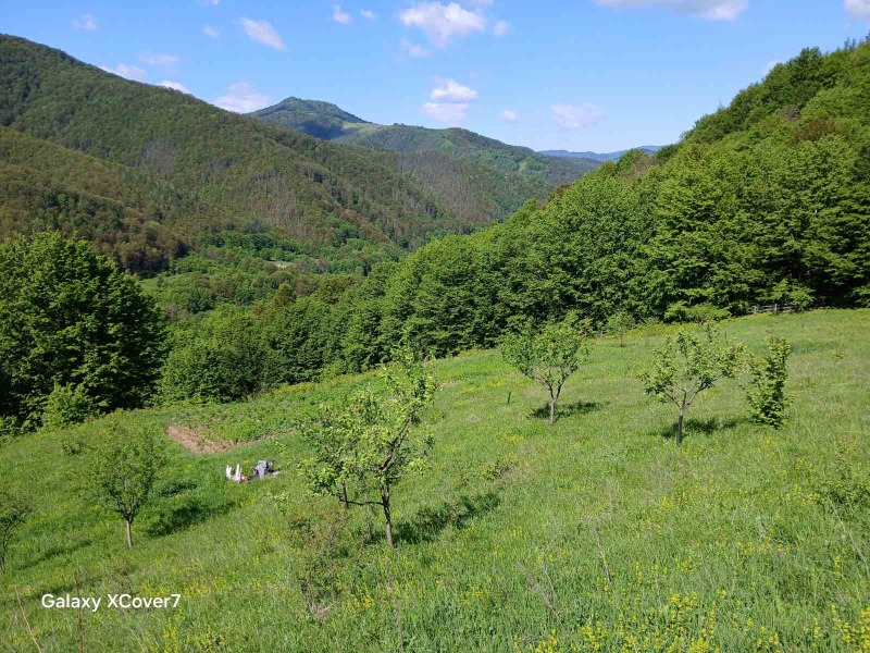 À venda  Trama região Lovech , Ribarica , 14440 m² | 80967155 - imagem [9]