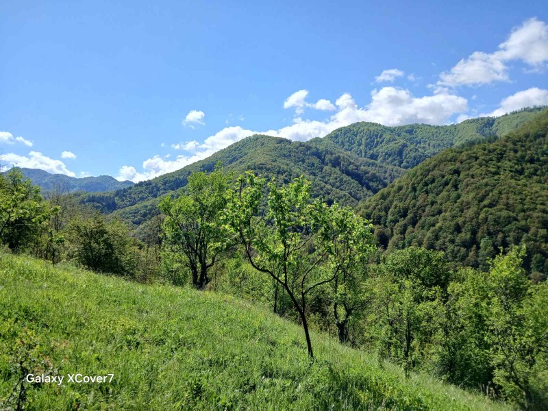 À venda  Trama região Lovech , Ribarica , 14440 m² | 80967155 - imagem [17]