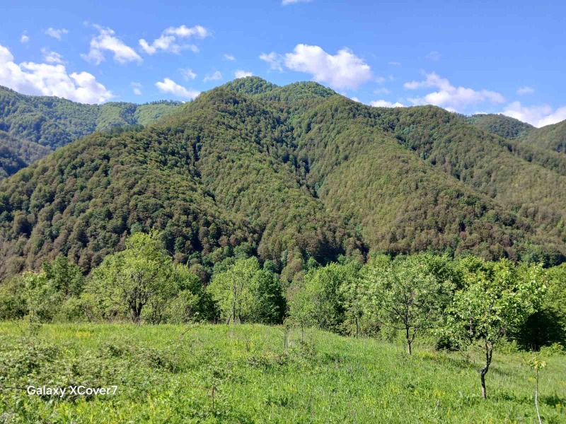 À venda  Trama região Lovech , Ribarica , 14440 m² | 80967155 - imagem [16]
