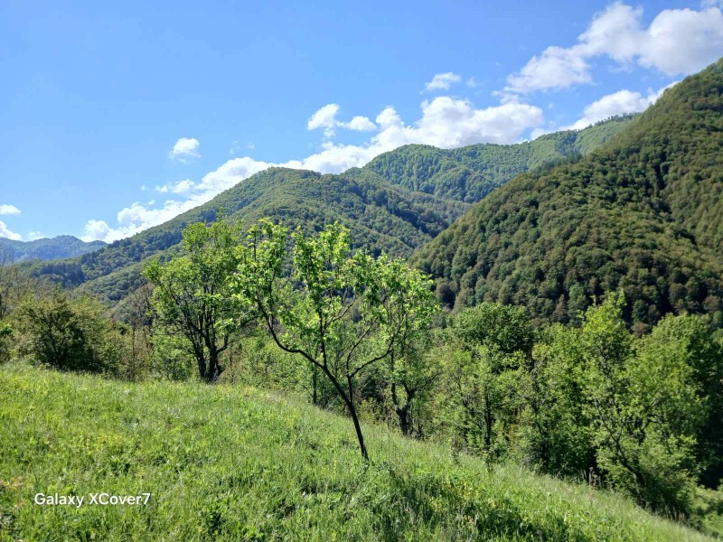 À venda  Trama região Lovech , Ribarica , 14440 m² | 80967155 - imagem [8]