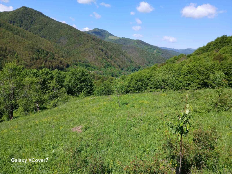 À venda  Trama região Lovech , Ribarica , 14440 m² | 80967155 - imagem [10]