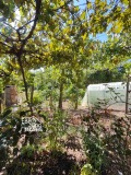 Продава КЪЩА, област Стара Загора, с. Арнаутито • 27000 € • 87321386 — Holmes.bg