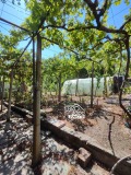 Продава КЪЩА, област Стара Загора, с. Арнаутито • 27000 € • 87321386 — Holmes.bg