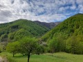 Продава ПАРЦЕЛ, област Ловеч, с. Рибарица • 97000 лв. • 77298988 — Holmes.bg