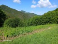 Продава ПАРЦЕЛ, област Ловеч, с. Рибарица • 97000 лв. • 77298988 — Holmes.bg