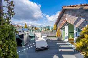 ����� ������� �������,���� �����, ������