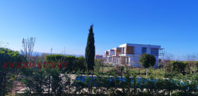 ����� ������� ����,���� ������, ��������