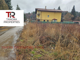 ������ ������� ������