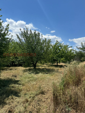 ������� ���������� ���� | Imot.bg � ����� ������ 3