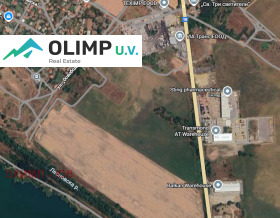 ������ ������� ������