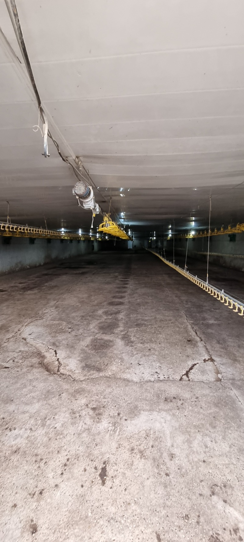 En venta  Edificio industrial región Razgrad , Ushintsi , 1620 metros cuadrados | 29045039 - imagen [6]
