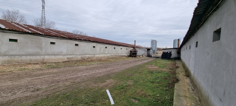 En venta  Edificio industrial región Razgrad , Ushintsi , 1620 metros cuadrados | 29045039 - imagen [11]