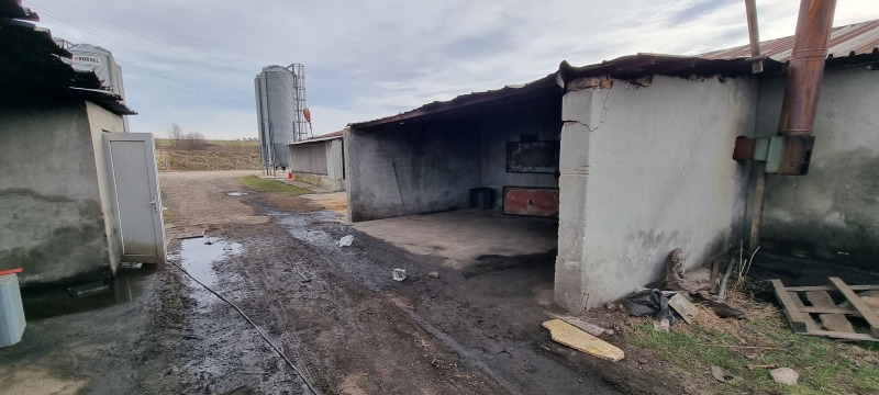En venta  Edificio industrial región Razgrad , Ushintsi , 1620 metros cuadrados | 29045039 - imagen [5]