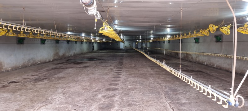 En venta  Edificio industrial región Razgrad , Ushintsi , 1620 metros cuadrados | 29045039 - imagen [7]