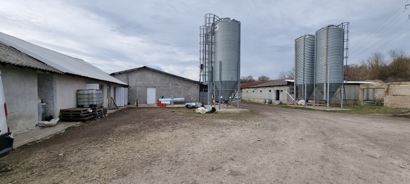 En venta  Edificio industrial región Razgrad , Ushintsi , 1620 metros cuadrados | 29045039 - imagen [4]