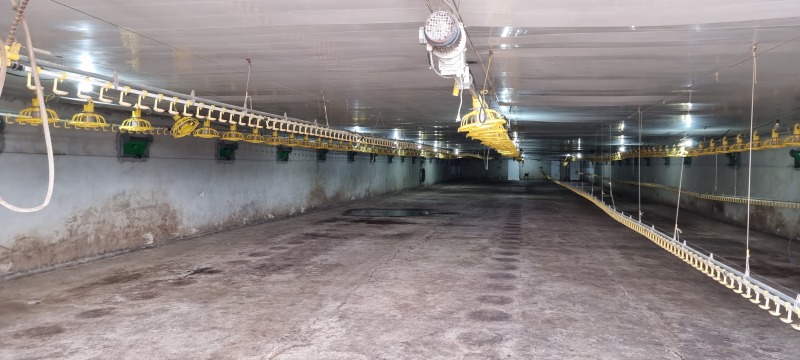 En venta  Edificio industrial región Razgrad , Ushintsi , 1620 metros cuadrados | 29045039 - imagen [8]