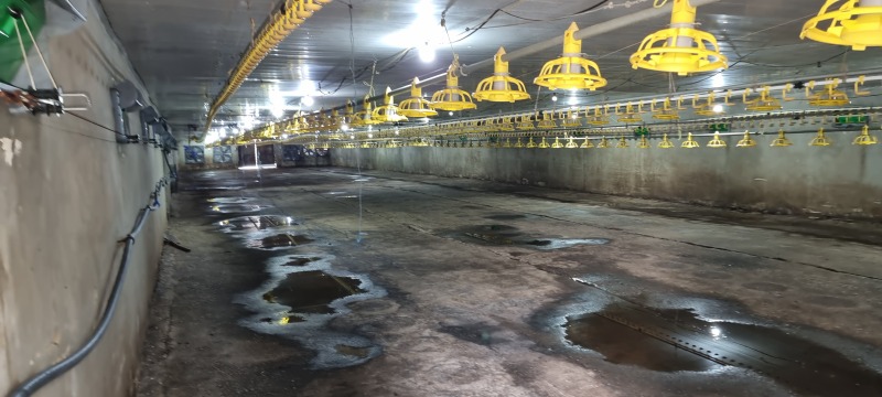 En venta  Edificio industrial región Razgrad , Ushintsi , 1620 metros cuadrados | 29045039