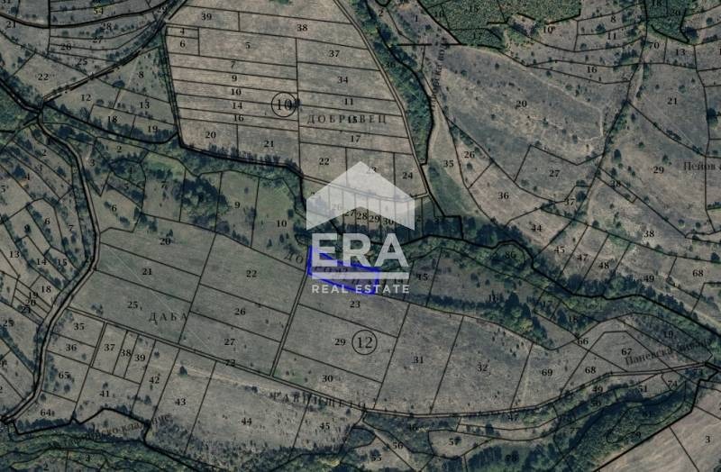 Продава ПАРЦЕЛ, с. Пауново, област София област, снимка 2 - Парцели - 53591055