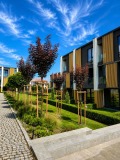 Продава КЪЩА, гр. София, Бояна, снимка 6