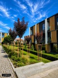 Продава  Къща град София , Бояна , 168 кв.м | 43883341 - изображение [6]